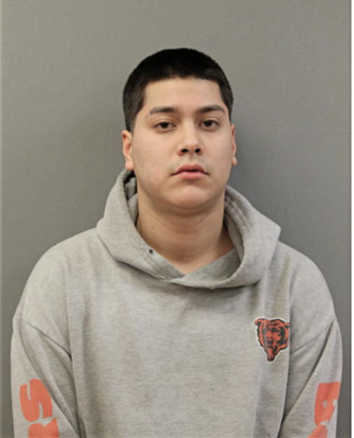 ALFONSO ALARCON, Cook County, Illinois