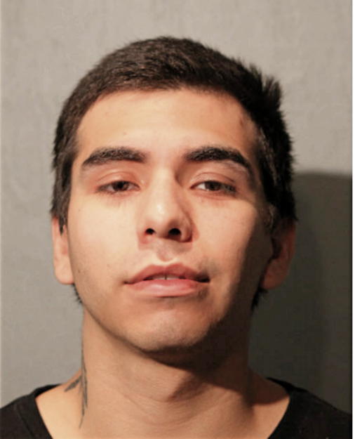 LUDOVICO ALMAZAN, Cook County, Illinois