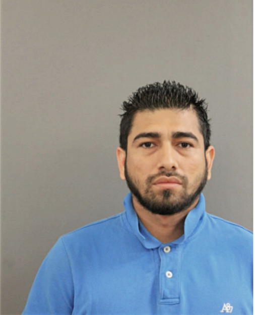 VICTOR H BELLO-MEZA, Cook County, Illinois