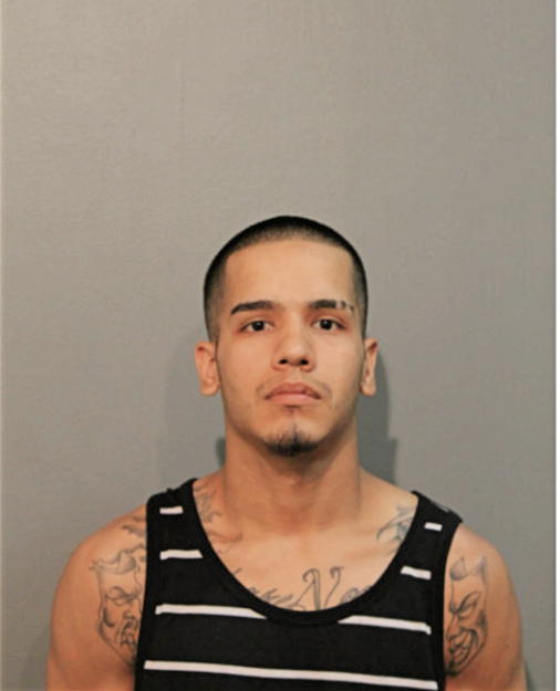 RICARDO DENAVA, Cook County, Illinois