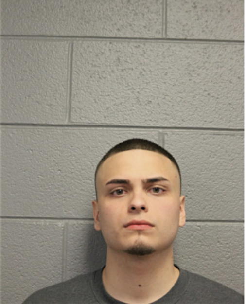 JOHN T EDELMAN HERNANDEZ, Cook County, Illinois