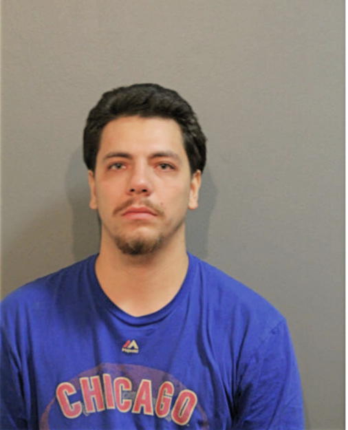 RYNE GALLEGOS, Cook County, Illinois