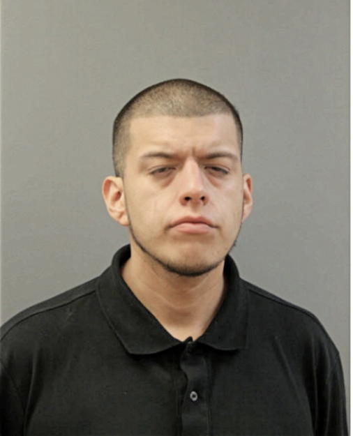 ANDREW L GONZALEZ, Cook County, Illinois