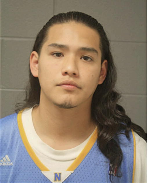 BRUNO GUTIERREZ, Cook County, Illinois