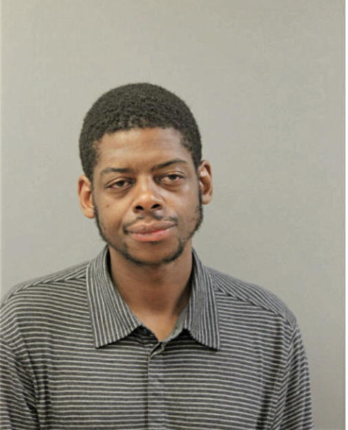DAMIEN M HOPKINS, Cook County, Illinois