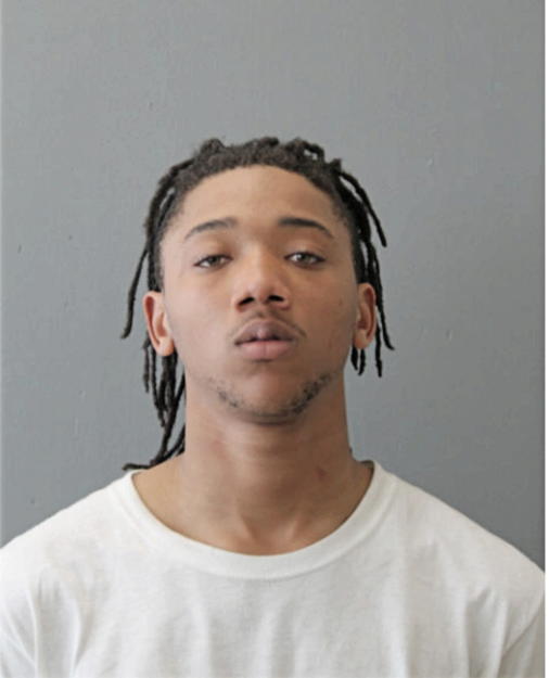MATTHEW K JOHNSON, Cook County, Illinois