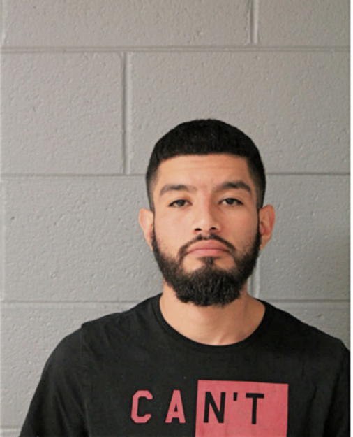 JOSE LEANOS, Cook County, Illinois
