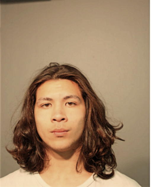 BRANDON M PAOPAO, Cook County, Illinois