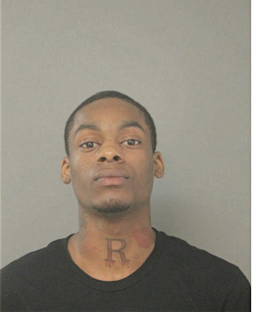 MARVELLE T PRIMER, Cook County, Illinois
