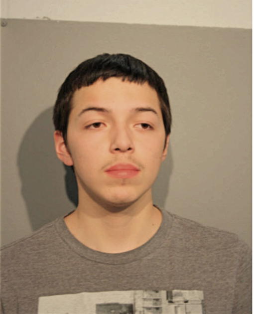 DANIEL RIVERA, Cook County, Illinois