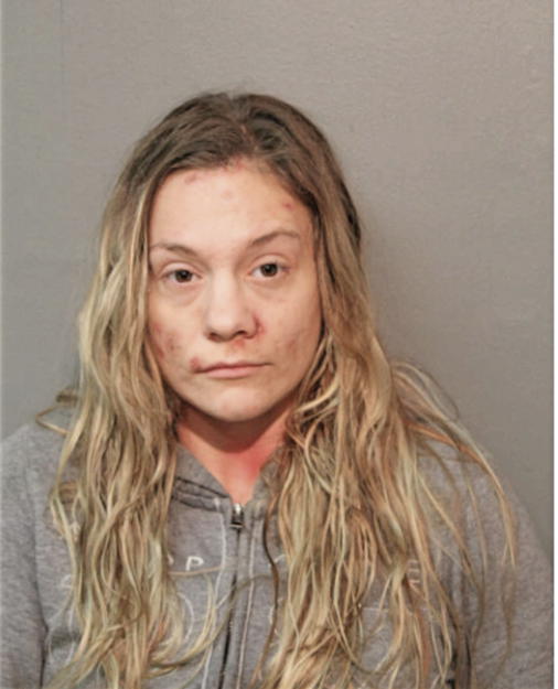 TARA A STEPANIAN, Cook County, Illinois