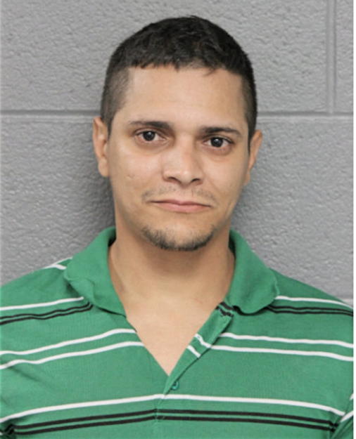 JOSE M VAZQUEZ-FELICIANO, Cook County, Illinois