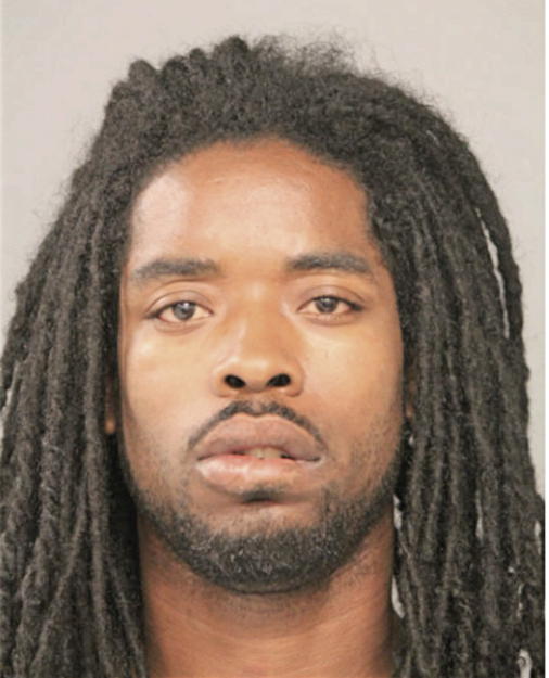 RYAN C ANDERSON, Cook County, Illinois