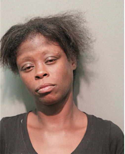 LAKESHA L AUSTIN, Cook County, Illinois