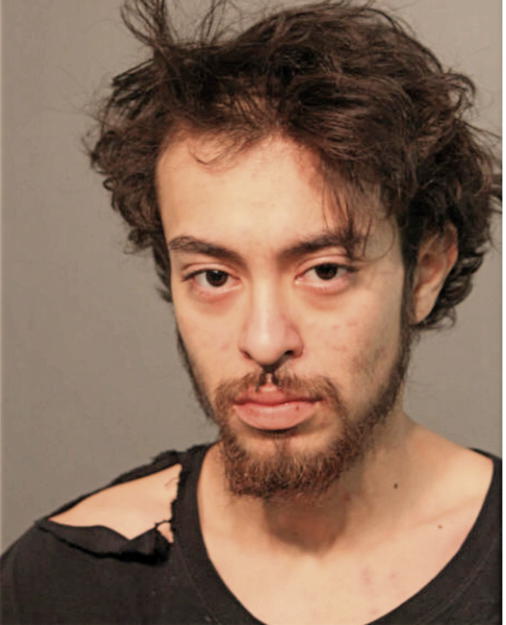 SAUL AVILES, Cook County, Illinois