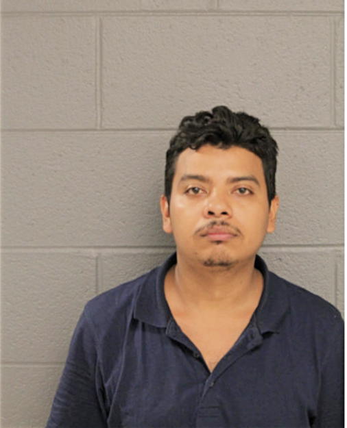 ALFONSO AYALA, Cook County, Illinois