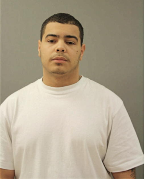 RYAN A BARRIERA, Cook County, Illinois