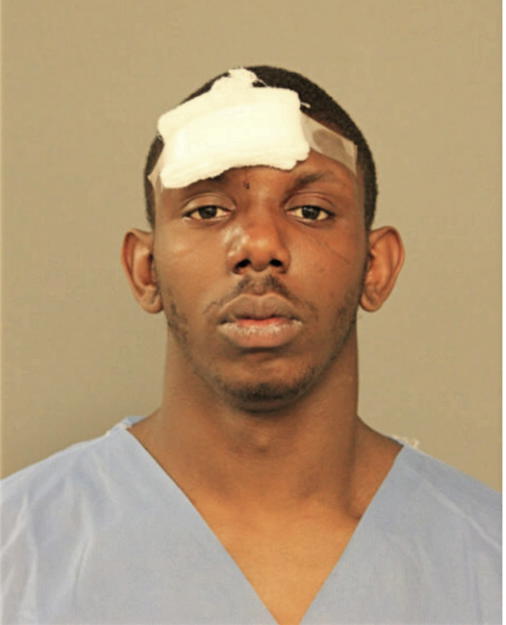 VERNON L BEASLEY, Cook County, Illinois