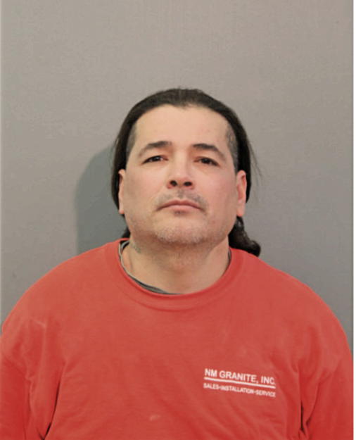 RAFAEL BRITO-SALGADO, Cook County, Illinois