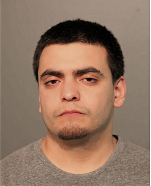 LUIS A CAMARGO-GUZMAN, Cook County, Illinois