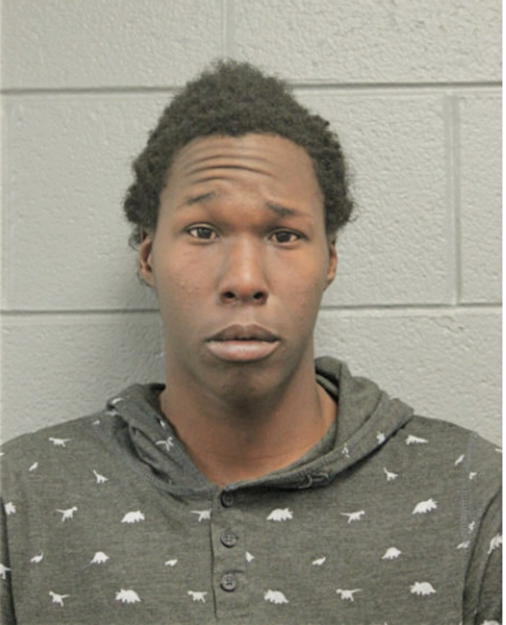 CHAS E CHESTNUT, Cook County, Illinois
