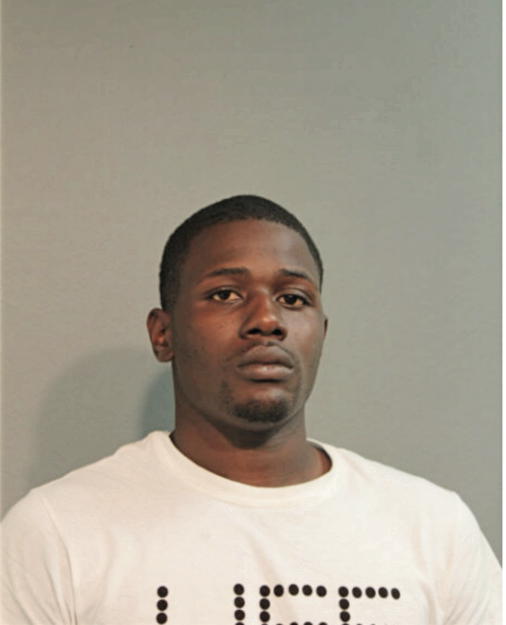 RAY A CHISM, Cook County, Illinois