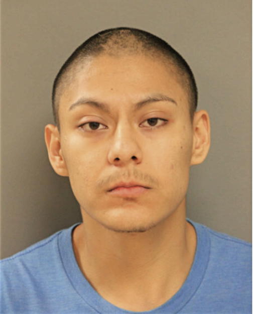 BRANDON A FLORES, Cook County, Illinois