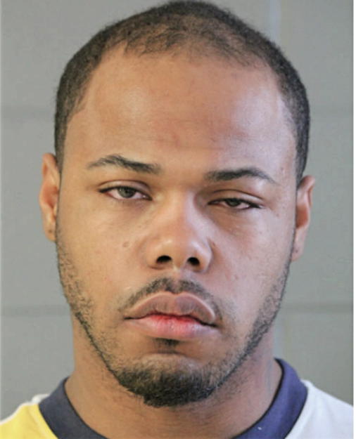 DAVID D GAINES, Cook County, Illinois
