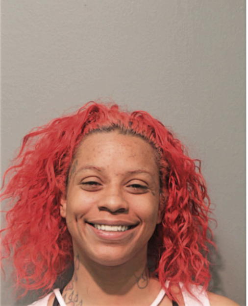 BRITTANY R HILL, Cook County, Illinois