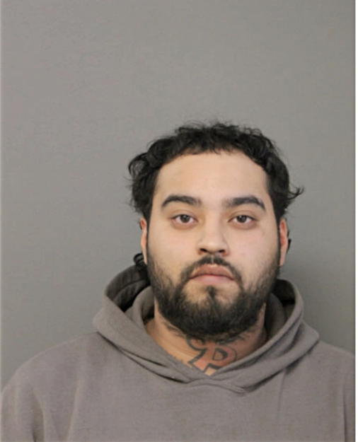 ERMILO CARLOS III MENA, Cook County, Illinois