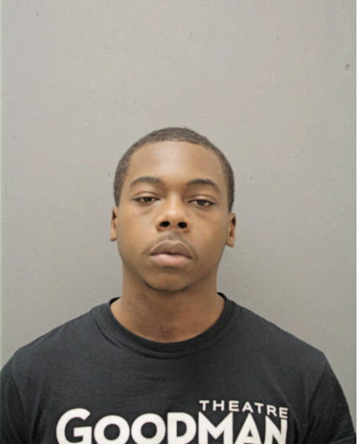ALLAN C JOHNSON, Cook County, Illinois