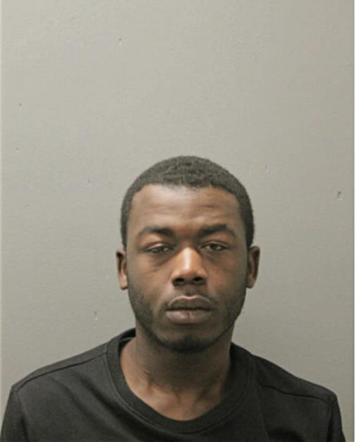 SAVION M JOHNSON, Cook County, Illinois