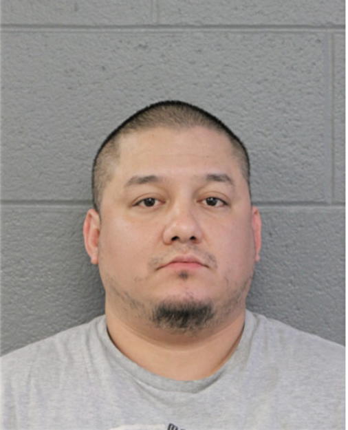 JOE H LOZA, Cook County, Illinois