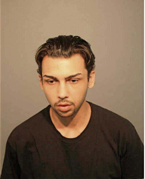 VINNIE NICHOLS, Cook County, Illinois