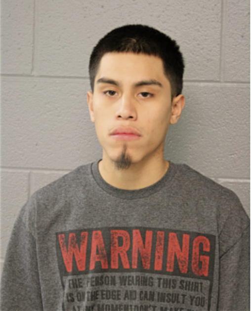 ANDRADE NOEL, Cook County, Illinois