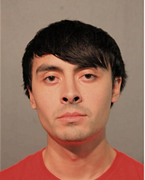 TYLER S OMMEN, Cook County, Illinois