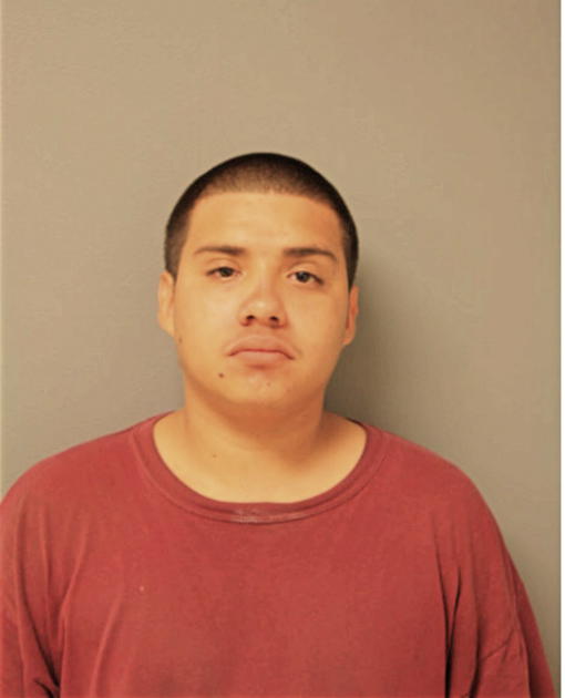 AGUSTIN ORTIZ, Cook County, Illinois