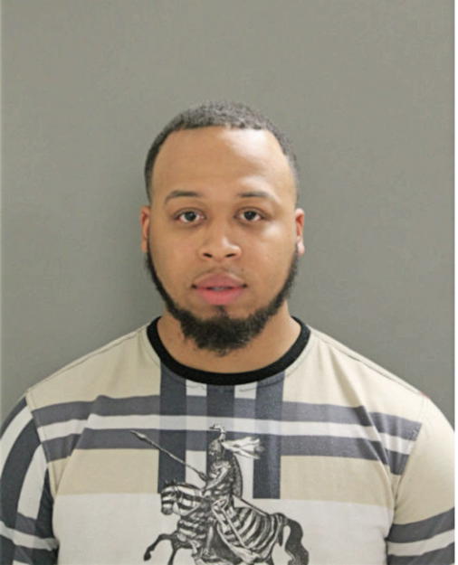 MICHAEL A PRICE, Cook County, Illinois