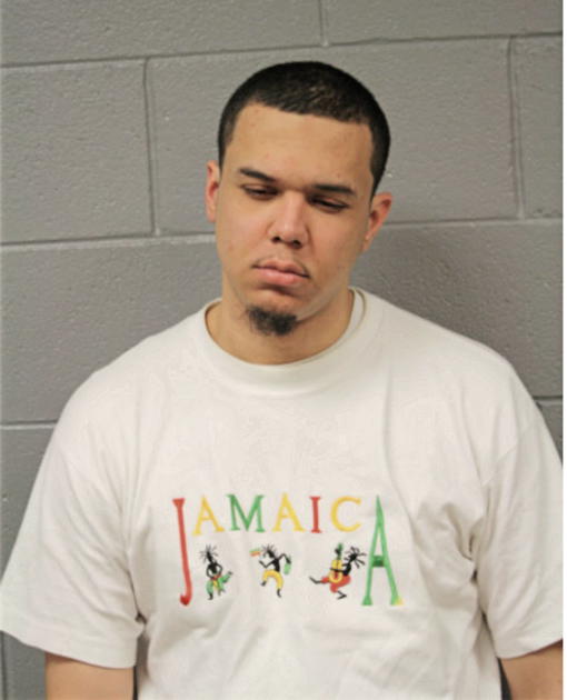 JUAN L RIVERA, Cook County, Illinois