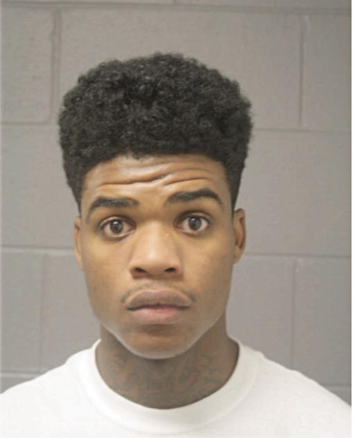 TYREESE E ROBERSON, Cook County, Illinois