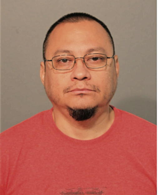 EDGAR E VEGA, Cook County, Illinois