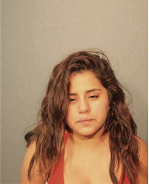 YOSSELIN VILLEGAS, Cook County, Illinois