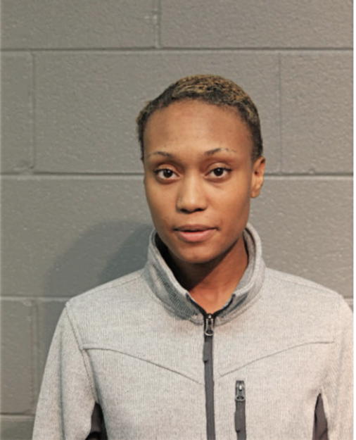 ASHLEY A ANDREWS, Cook County, Illinois