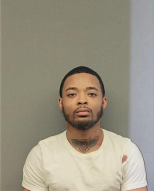 BRANDON T BRYANT, Cook County, Illinois
