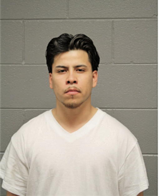 CRISTIAN CEBRAVO, Cook County, Illinois