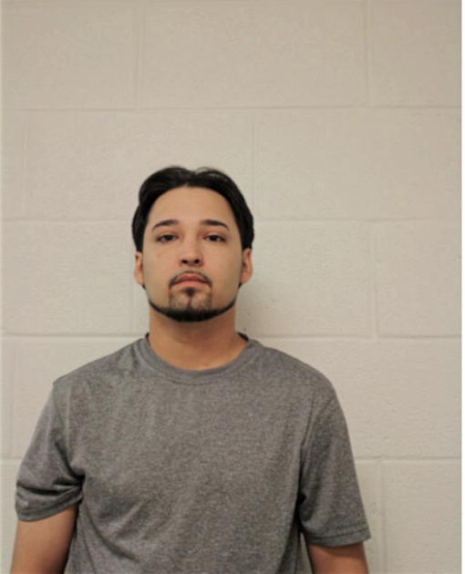 DAVID RYAN DELACASA, Cook County, Illinois