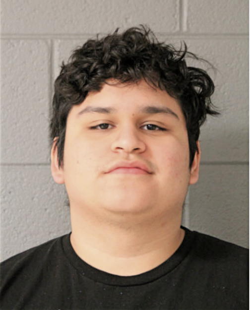 MATHEW FABELA, Cook County, Illinois
