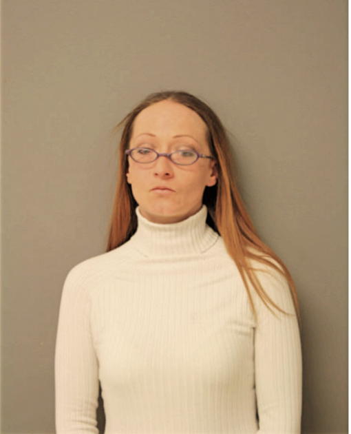 STEPHANIE L FEY, Cook County, Illinois