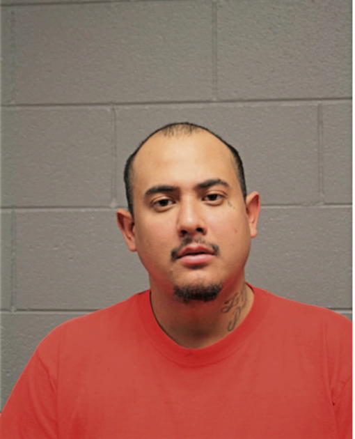 JOSE L HERNANDEZ, Cook County, Illinois
