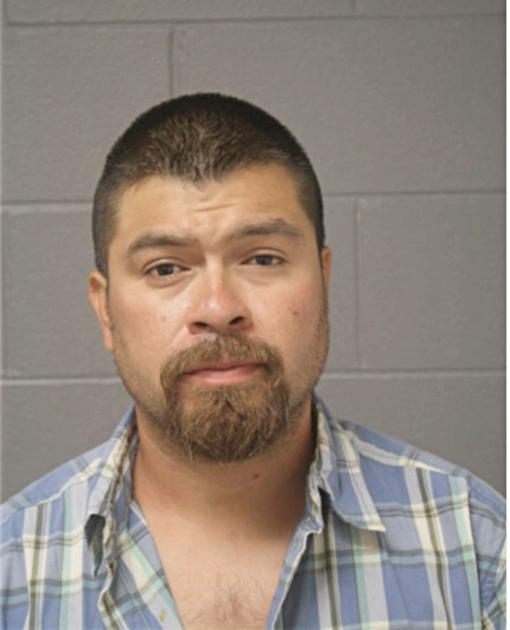 CHRISTIAN VARU JARAMILLO, Cook County, Illinois